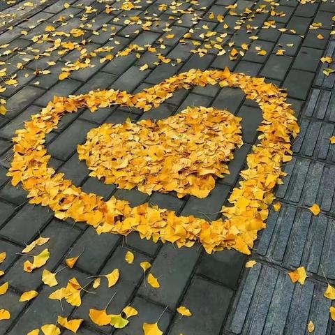 花开花落花满天
