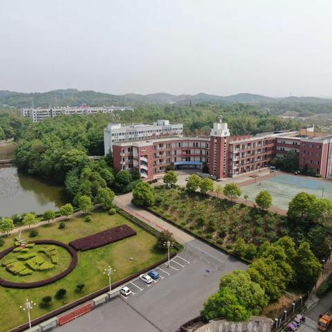 致2024届初三毕业生家长的一封信