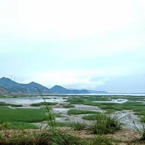福州市罗源生态环境局牵头开展五月份海漂垃圾治理考评工作
