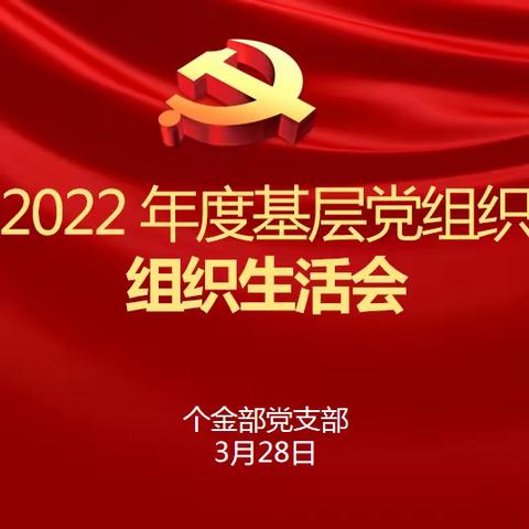 个金部党支部开展2022年度组织生活会