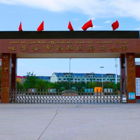 学思践悟促成长，成果分享启新程—高昌区第五小学教师培训成果分享第二期