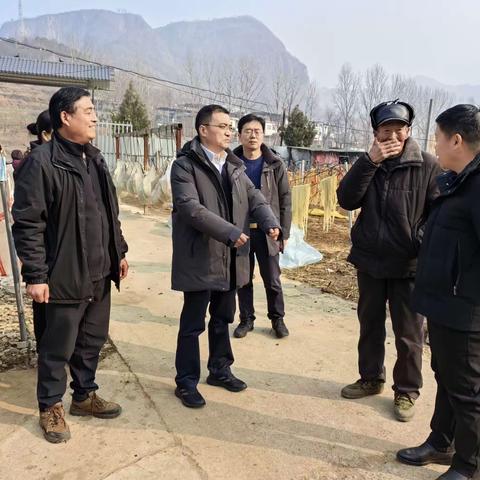 桂军海到中国电信河南公司省定点帮扶村调研指导慰问