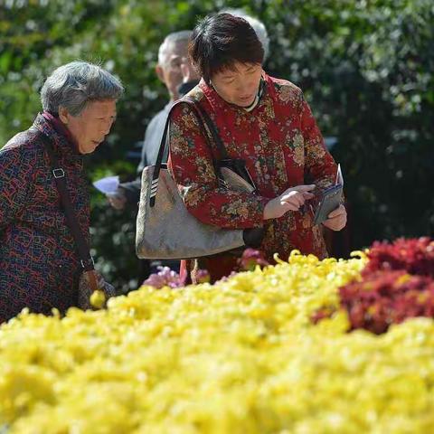 童心暖重阳，浓浓敬老情👩🏻‍🦱🧔🏻蓝天幼儿园重阳节活动