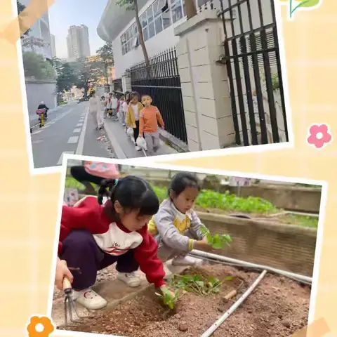 《拯救向日葵行动之花茎歪歪扭扭怎么办》 清秀幼儿园大一班陈巧如