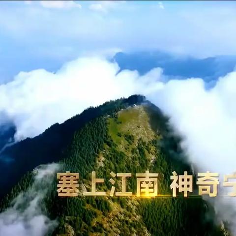 十里飘香的美食——怀远夜市