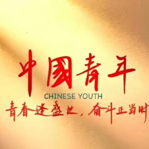 筑牢思想根基 永葆政治本色：以严实作风推动中央八项规定精神学习教育走深走实