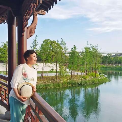 2023年6月上海青浦《蟠龙无地》游