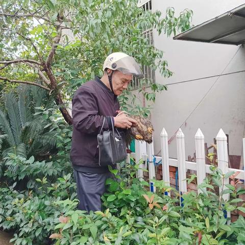 预防禽流感