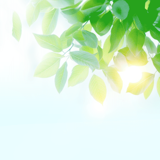 聚焦团辅 以研促教共成长 ——辽宁省崔丽娜心理健康 名师﻿工作室研讨活动