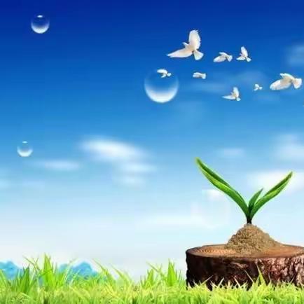 【小店区学府街学校•德育】生命重于泰山 安全高于一切——致全体家长、学生的安全倡议书