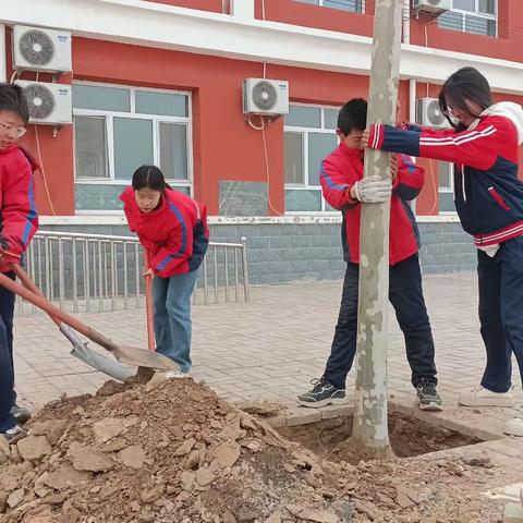 拥抱春天，绿色校园——西位明德小学开展植树节活动