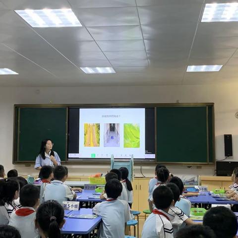 2023——2024学年第二学期海口市滨海第九小学科学组第9周教研活动