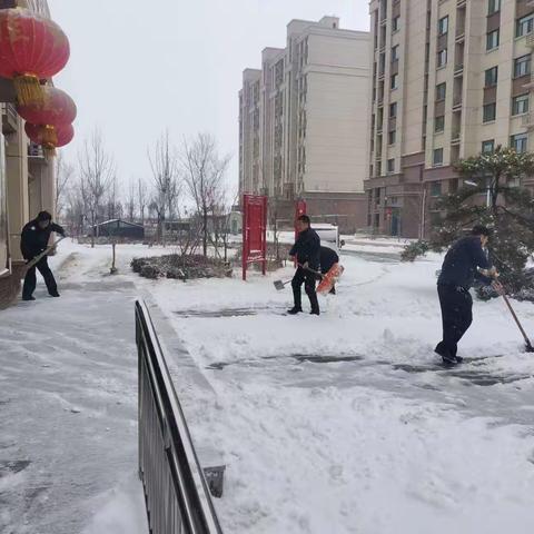 【产业高地  新城圣井】最美不止下雪天，更有暖心扫雪人，圣和社区开展“扫雪除冰”活动