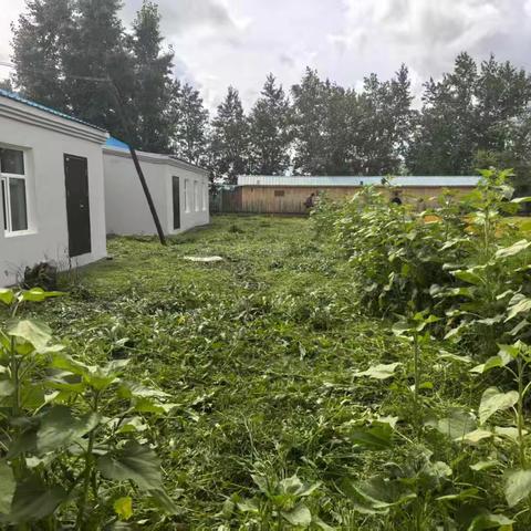 政企社协同发力 净校园护航成长——三河回民乡政府、苏沁兴民社区携手为苏沁学校清理蒿草