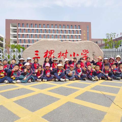 让梦飞扬，走进三棵树小学———和谐幼儿园大班小朋友参观小学篇