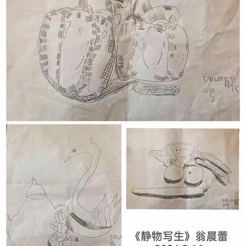 曹莹美术小画家——翁晨蕾作品集(课堂学习档案)