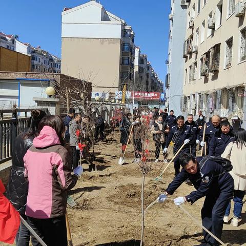 龙首社区植绿护绿总结