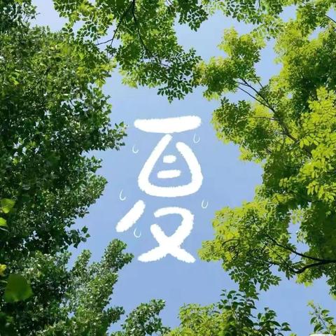 享受夏日👣简单快乐🌼 格林小镇幼儿园蒙四班