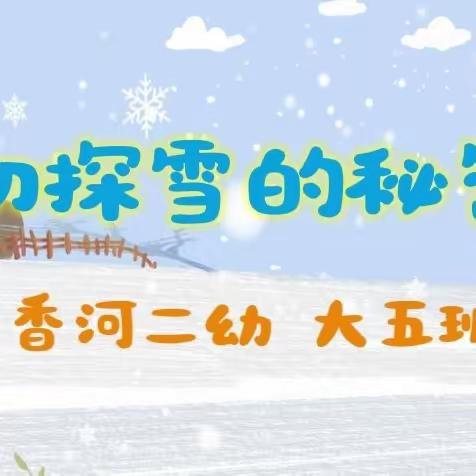 【云相约 动起来】师幼线上互动——大班科学领域活动《初探雪的秘密》（香河二幼大五班）