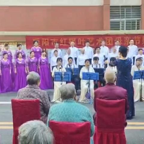 红枫叶传递大爱母亲节情暖夕阳