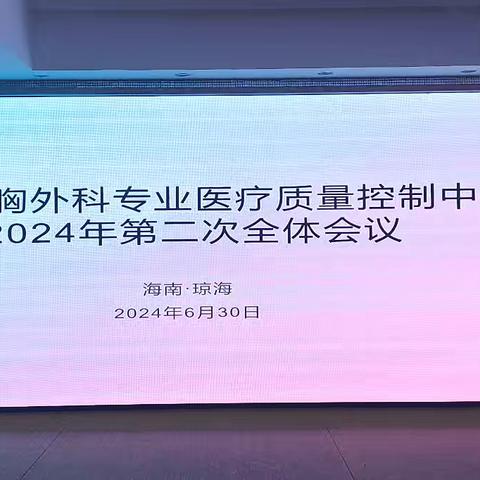 海南省胸外科质控中心2024年第二次全体会议