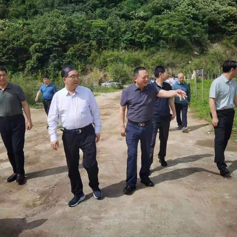 省林业局来我市督导调研林业重点工作