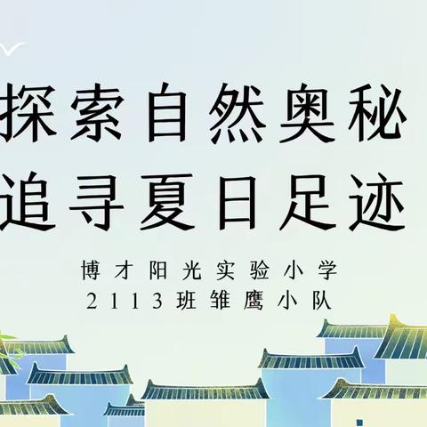 探索自然奥秘 追寻夏日足迹——博才阳光实验小学2113班雏鹰小队