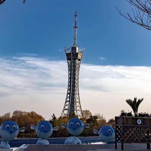 促成长 共提升 白扬育硕果