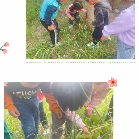 幼儿自制绘本《好饿的毛毛虫》—王庙镇梁庄小学附设园