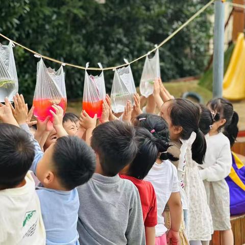 🧸"快乐从这里起航"优童实验幼儿园中三班一周精彩回顾🌈