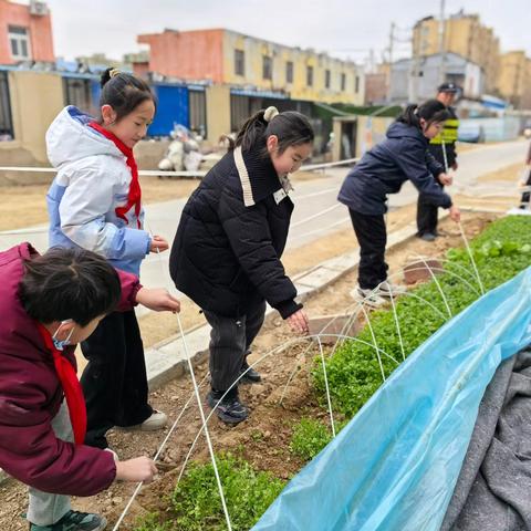 用劳动换取收获