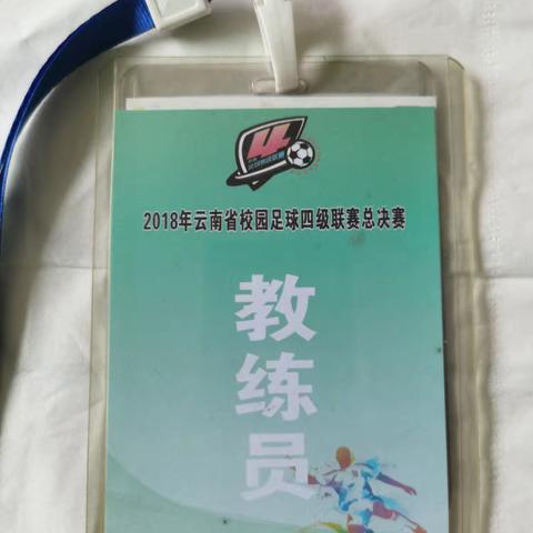 云南省校园体育赛事与培训活动回顾