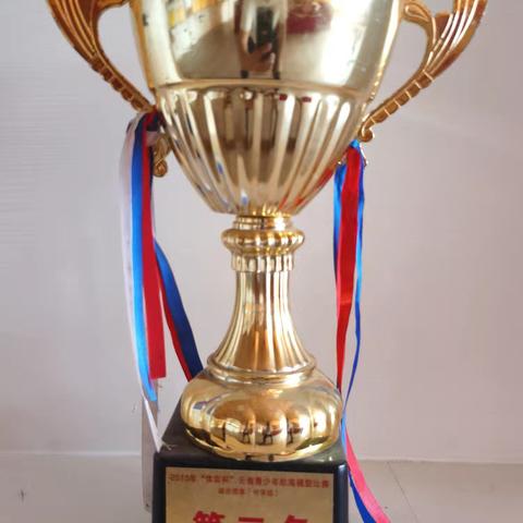 我的“科技体育模型”竞赛活动获奖掠影