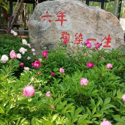 科技筑梦少年心 创新赋能新时代——利通区第九小学参加第三共同体学校首届科技教育系列活动