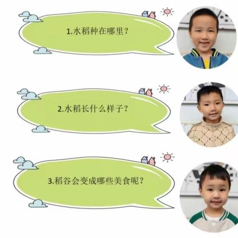 遇“稻”一粒米———桃江县幼儿园育英园大二班班本活动