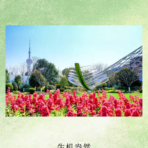 时光流影·廿一帧里的四月诗篇