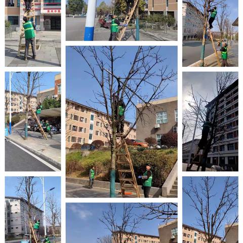 深圳航天物业贵州中医药大学           物业服务中心3月1日-15日工作简报