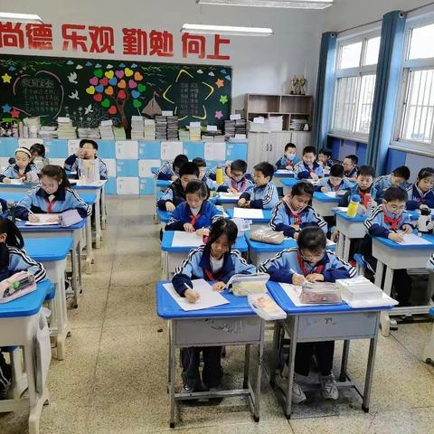 线描小天地 彩铅绘童心——二小彩铅线描社团学期成果展示