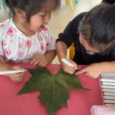 临沭县曹庄镇华桥幼儿园 ‍张雯清的幼儿园成长档案