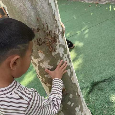 临沭县曹庄镇华桥幼儿园 李乐多的幼儿园快乐成长记