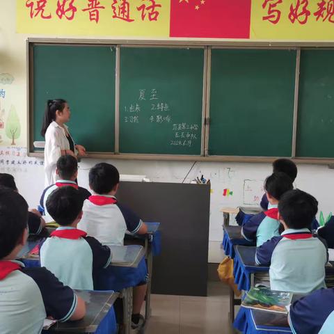 二十四节气“夏至”——五五班