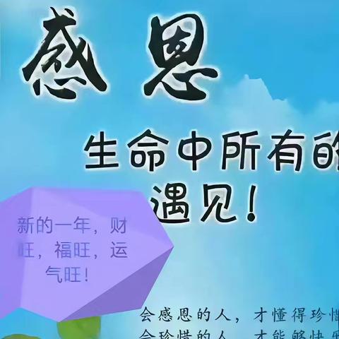 感恩与放下：在喧嚣中寻找内心的宁静