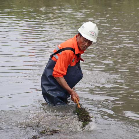 苏州中环洁开展雨后环境卫生整治｜打造“河畅、路净、景美”的生态环境