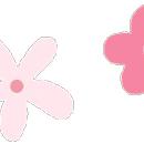  雨 的美篇