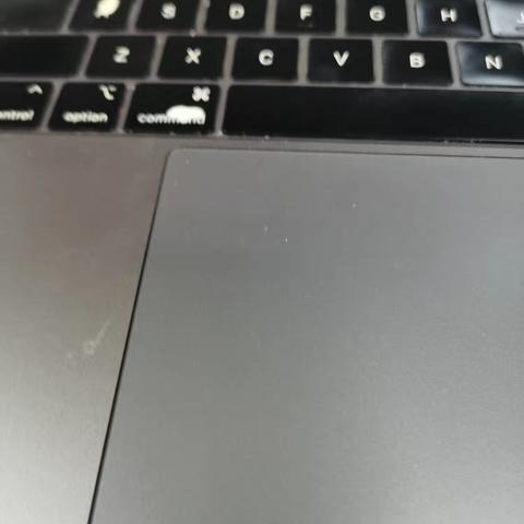 平凡之物中的生活哲学