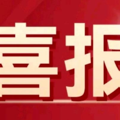 【党建+品质教育】齐心协力创佳绩 凝心聚力共奋进——王灵镇中心学校2024年春季学期获奖喜报