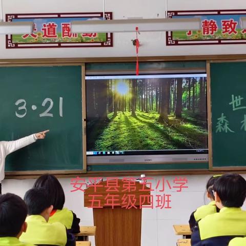 安平县第五小学开展 “世界森林日”主题教育系列活动