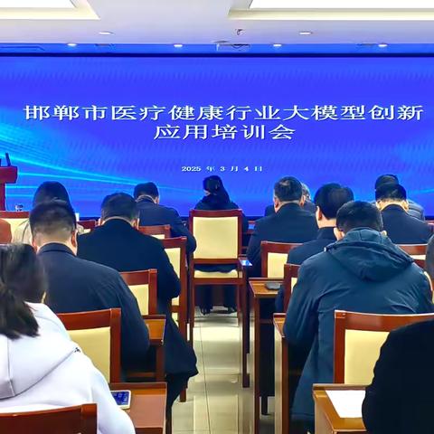 市卫健委召开全市医疗健康行业大模型创新应用培训会