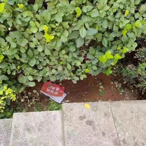 开展环境卫生整治—营造干净整洁、和谐美好的生活环境