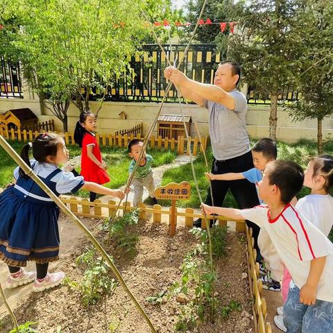 【风吹麦浪】“芒”有所获，种有所得——榆次区第九幼儿园寻夏实践之旅(三)